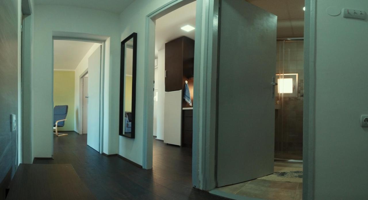 Apartman Terassa Donji Milanovac Extérieur photo