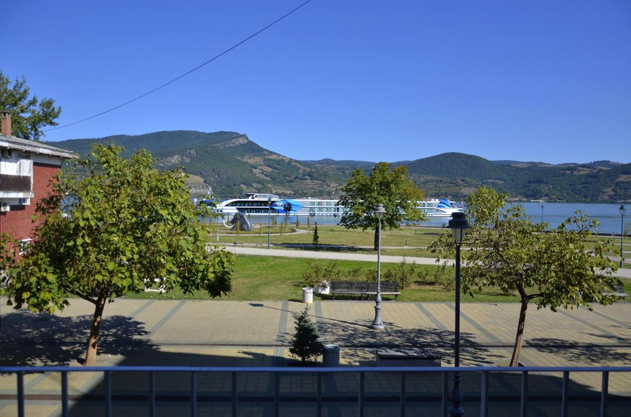 Apartman Terassa Donji Milanovac Extérieur photo