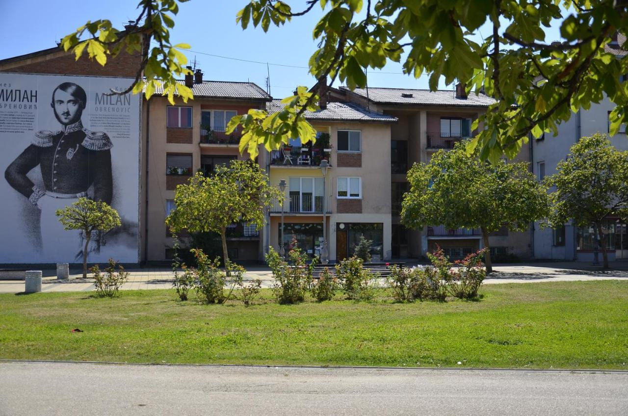 Apartman Terassa Donji Milanovac Extérieur photo