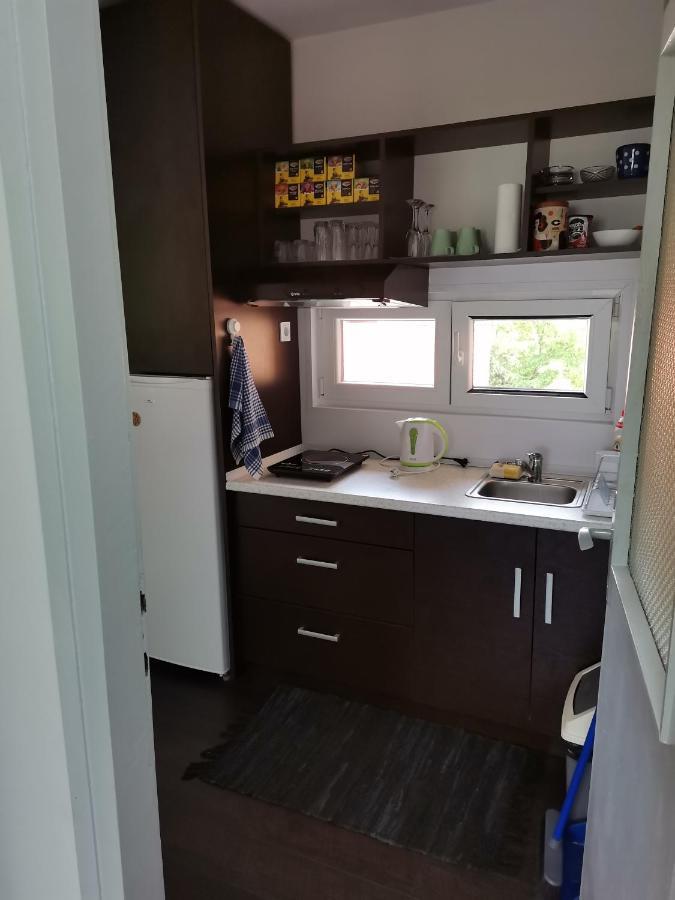 Apartman Terassa Donji Milanovac Extérieur photo