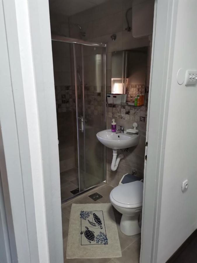 Apartman Terassa Donji Milanovac Extérieur photo