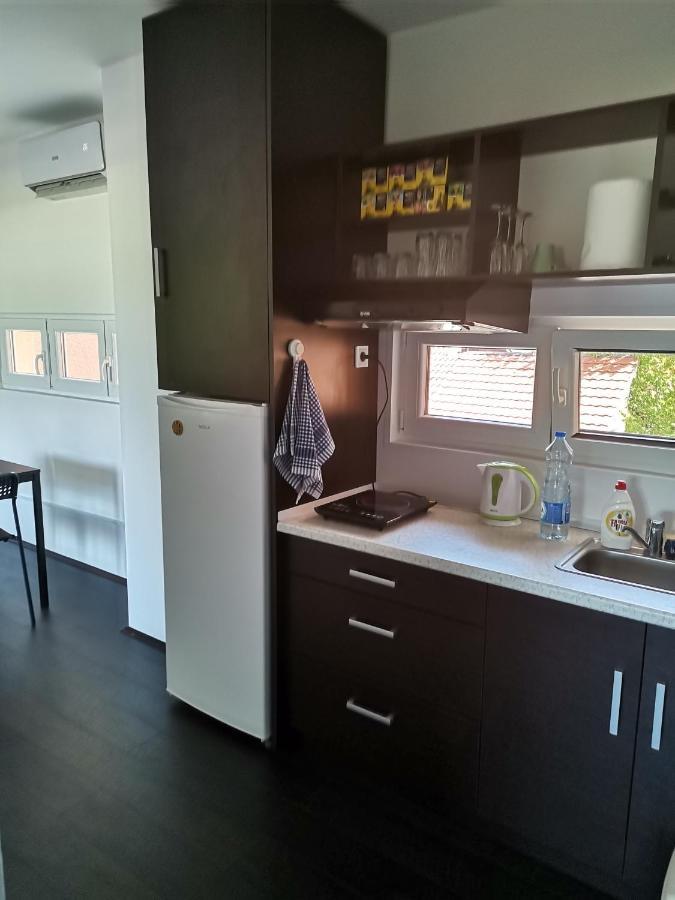 Apartman Terassa Donji Milanovac Extérieur photo