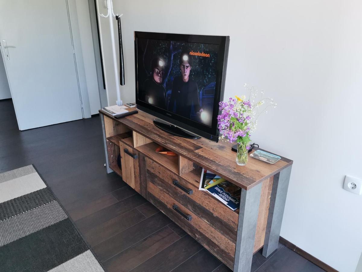 Apartman Terassa Donji Milanovac Extérieur photo