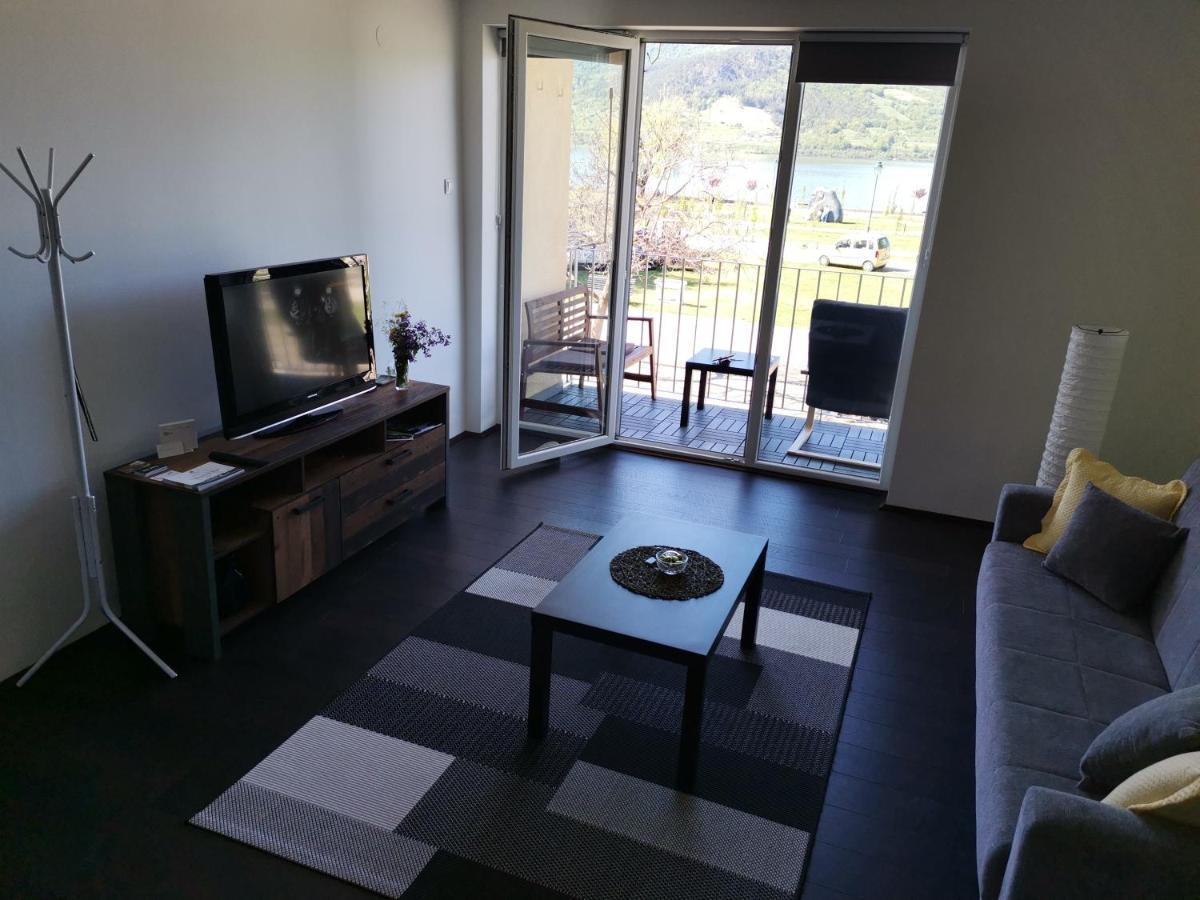Apartman Terassa Donji Milanovac Extérieur photo