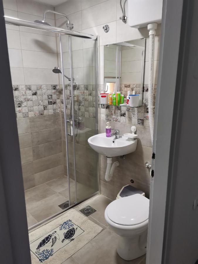 Apartman Terassa Donji Milanovac Extérieur photo