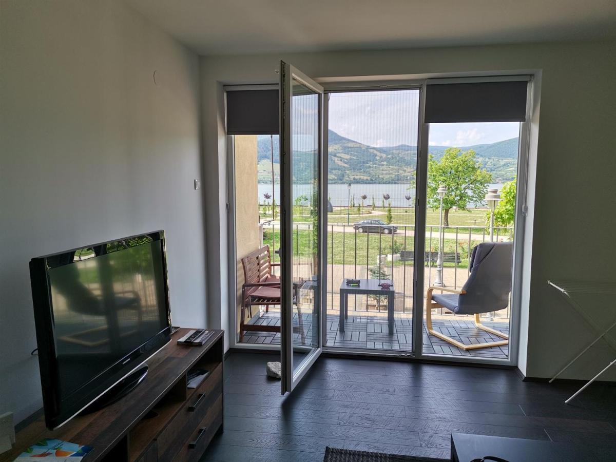 Apartman Terassa Donji Milanovac Extérieur photo