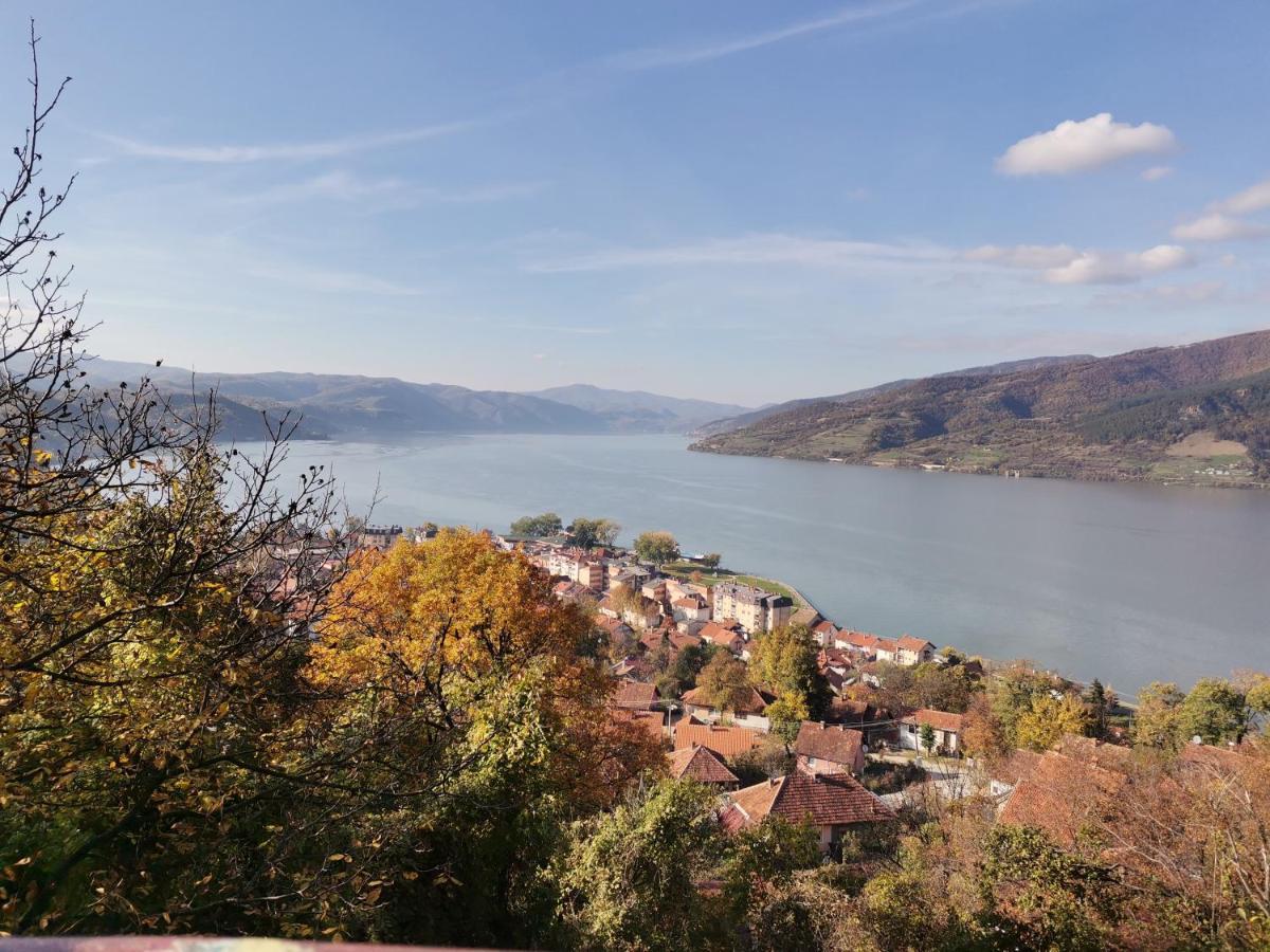 Apartman Terassa Donji Milanovac Extérieur photo