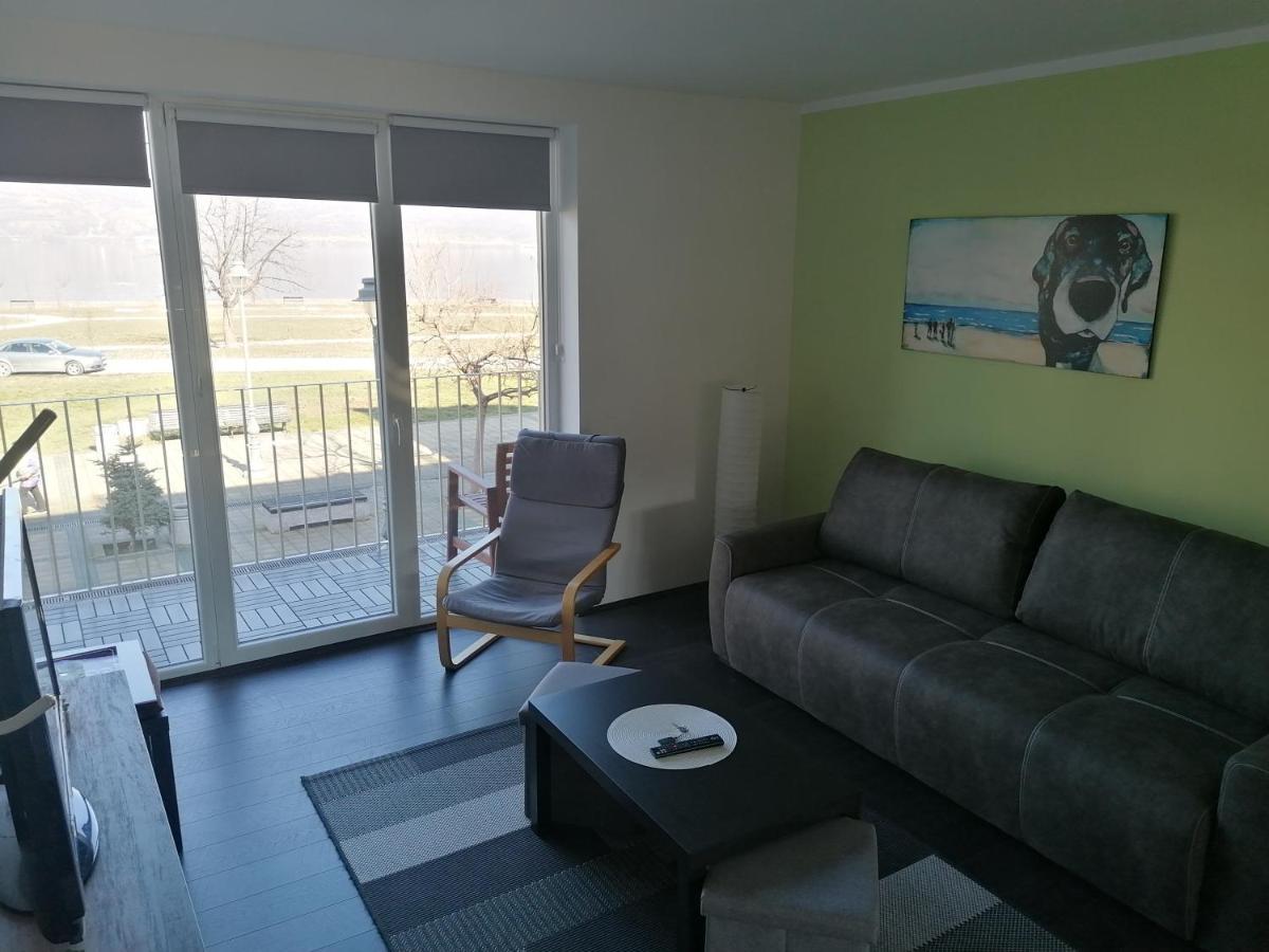 Apartman Terassa Donji Milanovac Extérieur photo