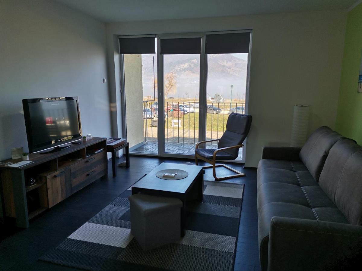 Apartman Terassa Donji Milanovac Extérieur photo