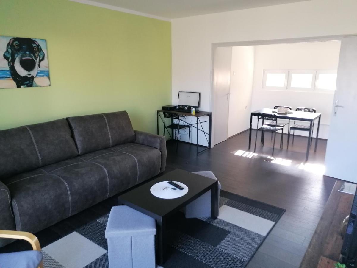Apartman Terassa Donji Milanovac Extérieur photo