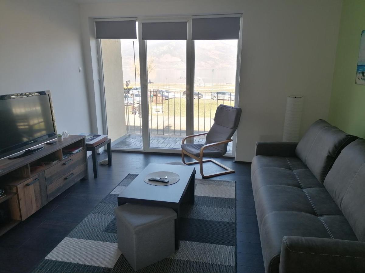 Apartman Terassa Donji Milanovac Extérieur photo